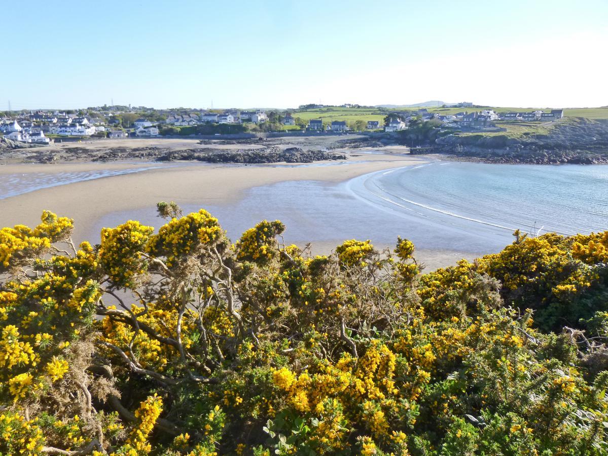 Angorfa Villa Cemaes Bay Exteriör bild
